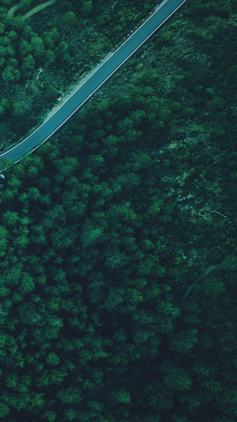 小路 screenshot