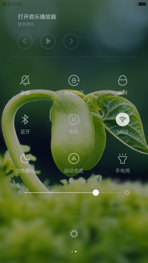 春芽的倔强（好评返现） screenshot