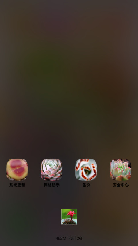 多肉主题2（多锁屏+全图标覆盖） screenshot