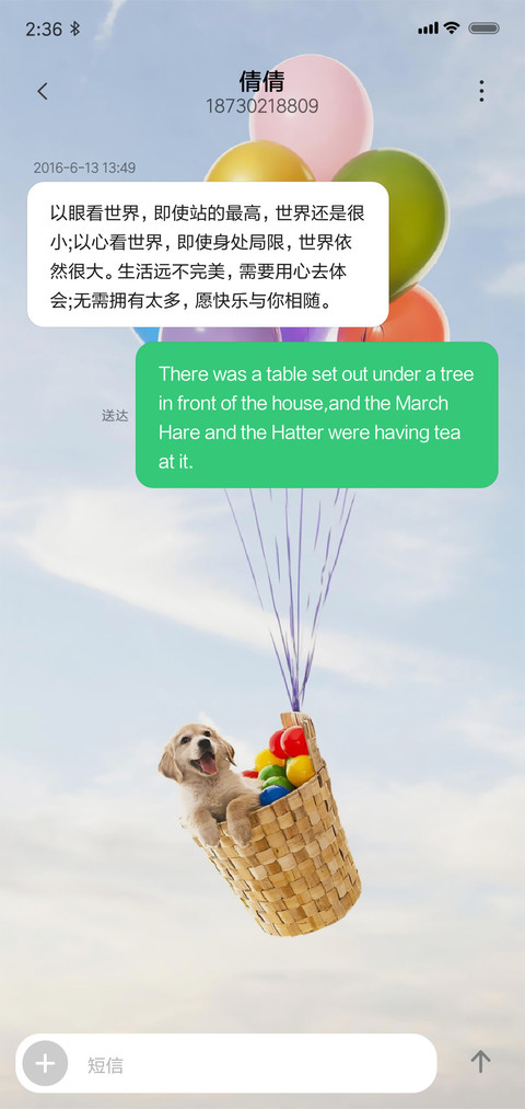 护眼 气球汪星人 screenshot