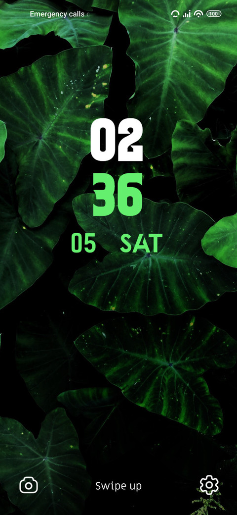Forest Green screenshot