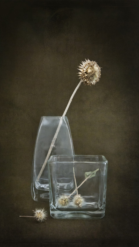 Method of Making Dried Flowers 5 screenshot