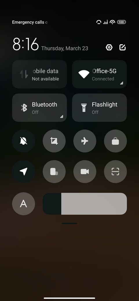 Palm tree screenshot