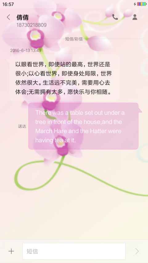唯美蝴蝶兰 screenshot