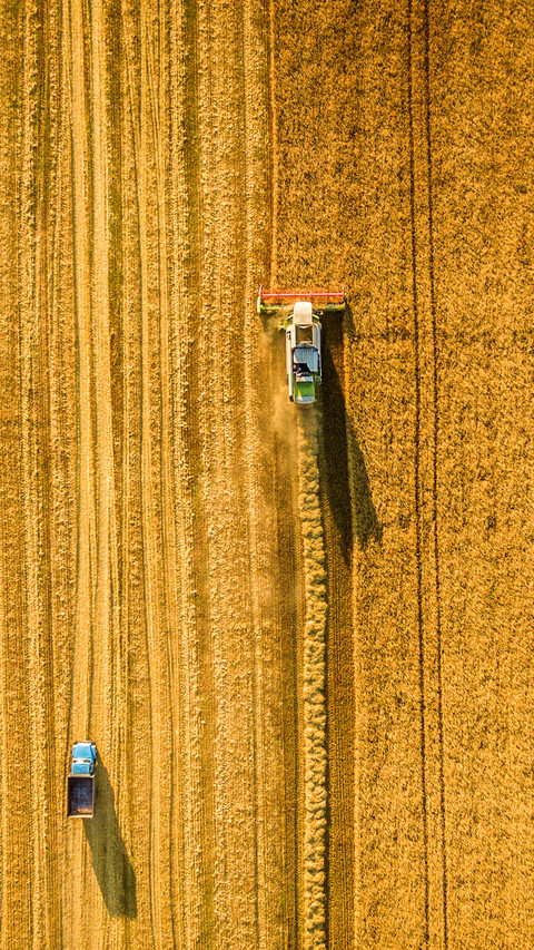 Harvester machine working in field screenshot