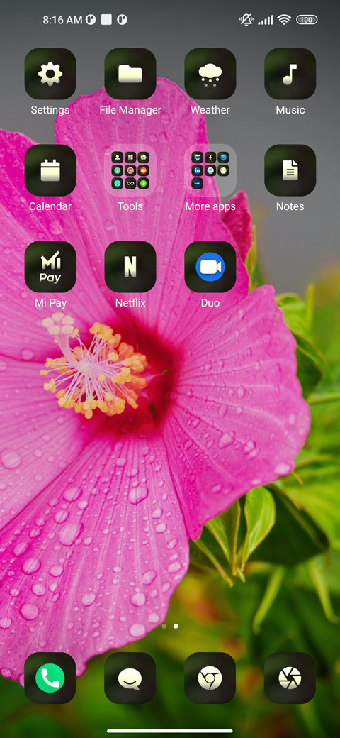 FLower_hope screenshot