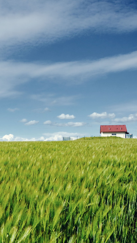 The countryside scenery blends harmoniously with the sky. screenshot
