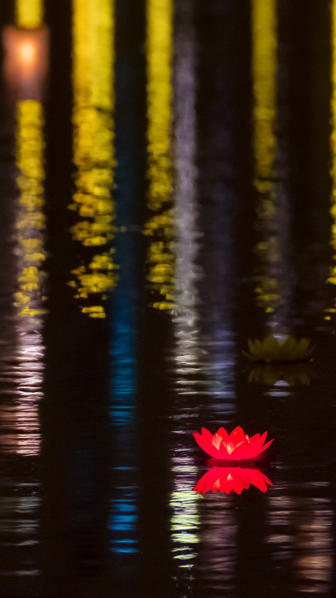 Moonlight in lotus pond-03 screenshot