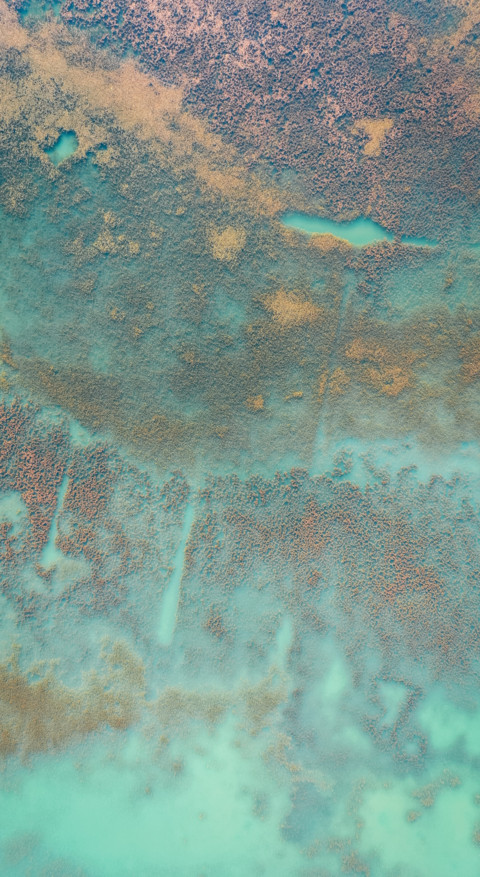 Nature HD - 2020-06-02T124041.722 screenshot