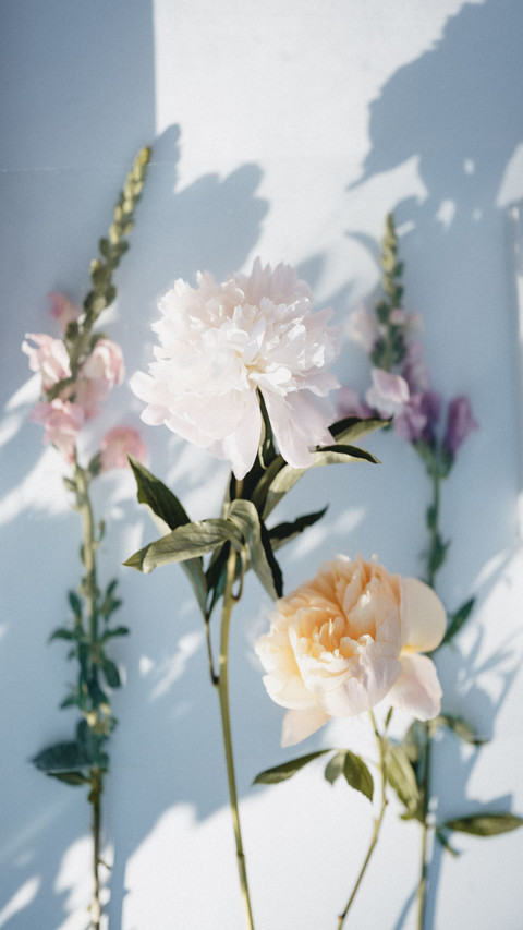 Burst into bloom screenshot