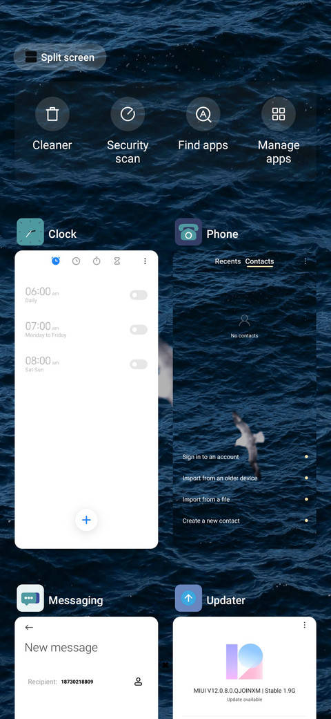 Gull Dreams screenshot