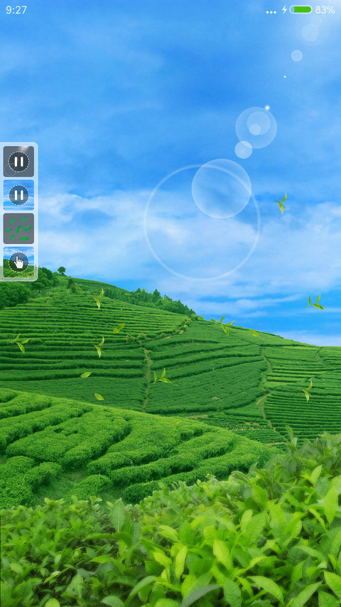 美丽茶园 screenshot