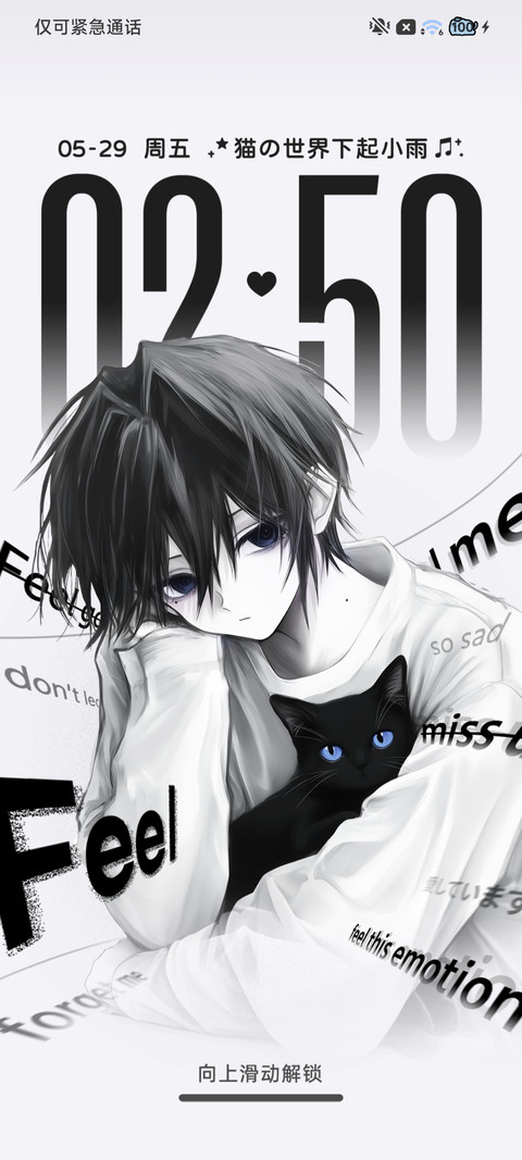 猫与少年 黑白重感 screenshot