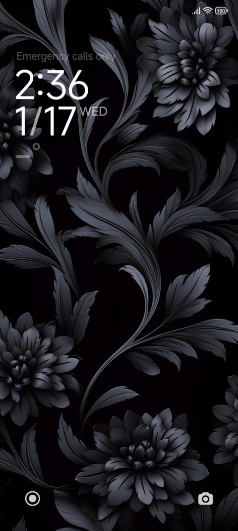 PureBlack screenshot