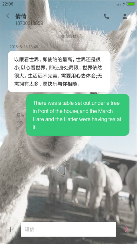爱宠 screenshot