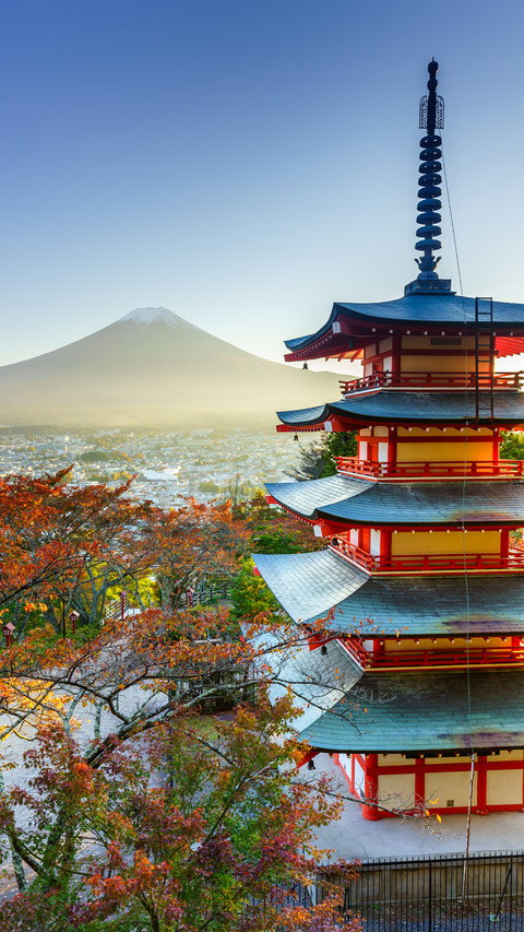 Japanese architecture screenshot