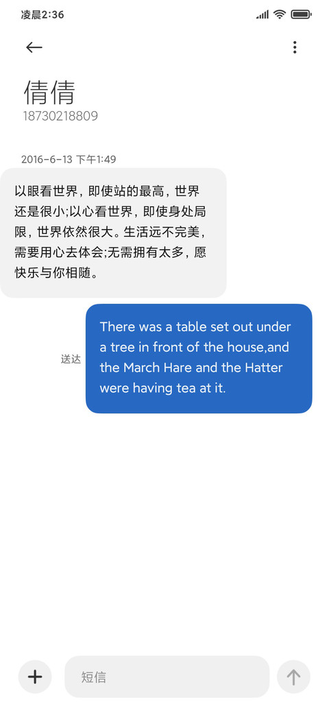椰林晚霞简约ins screenshot