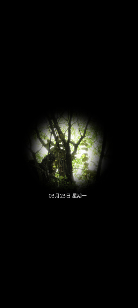树影摇碎 绿意斑驳 screenshot