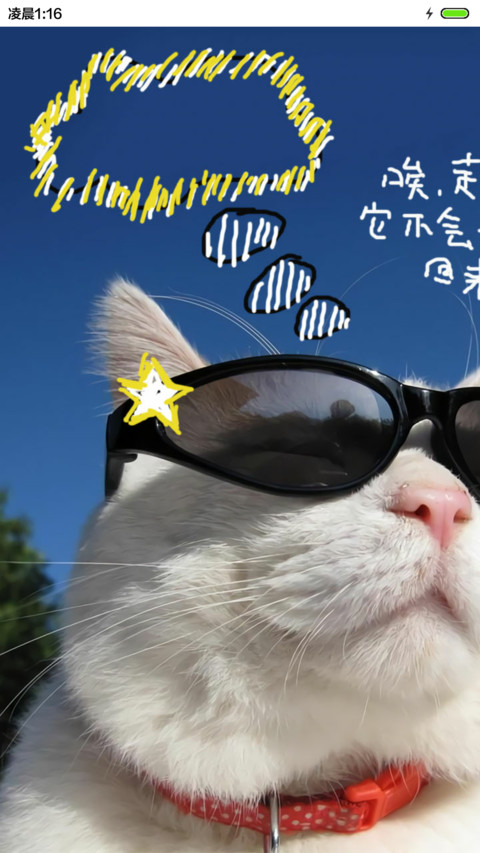 江天真的猫 手绘+音乐界面  screenshot