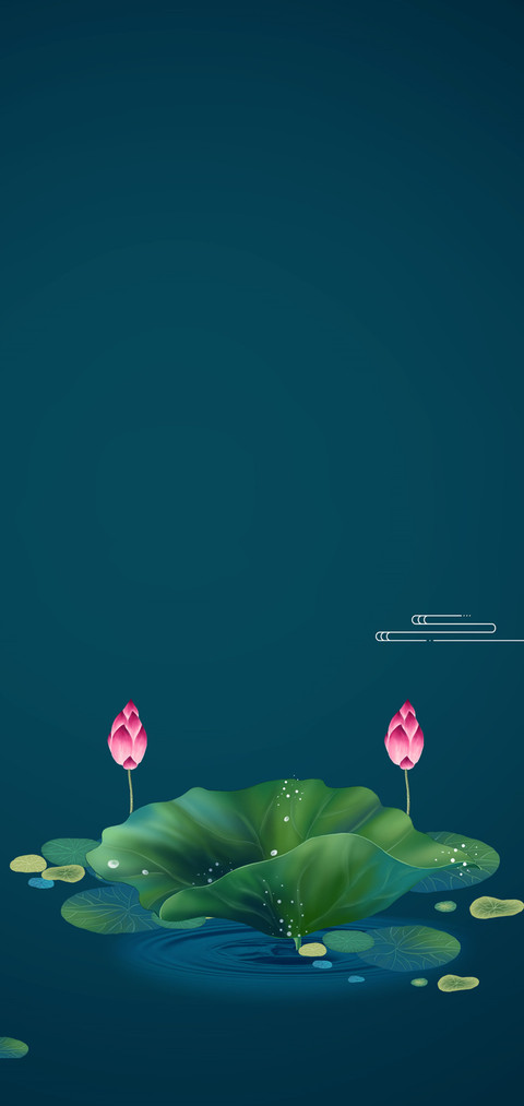 荷花情 screenshot