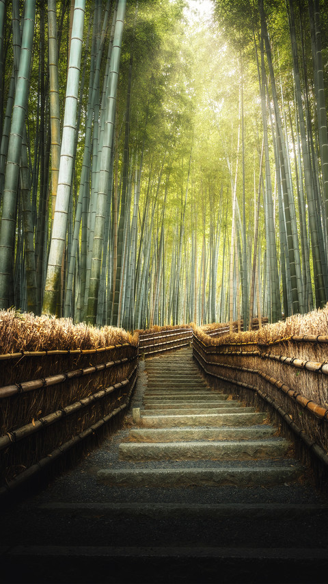 Bamboo forest path screenshot