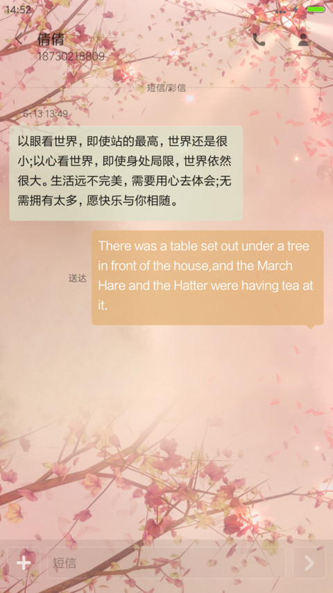 多彩之旅+动态落花 screenshot