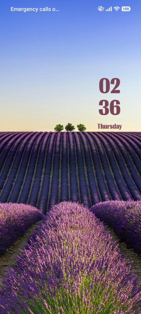 Lavender Field screenshot