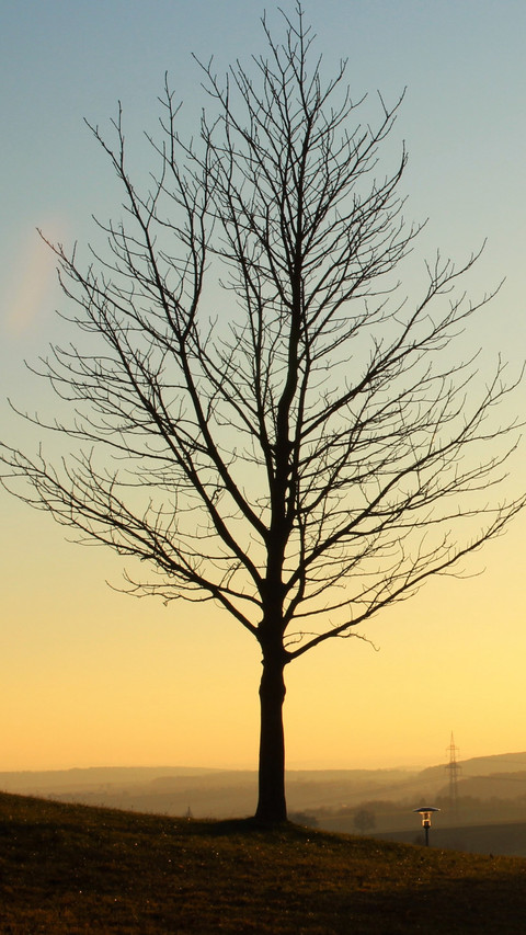 113235_1440x2560.jpg screenshot
