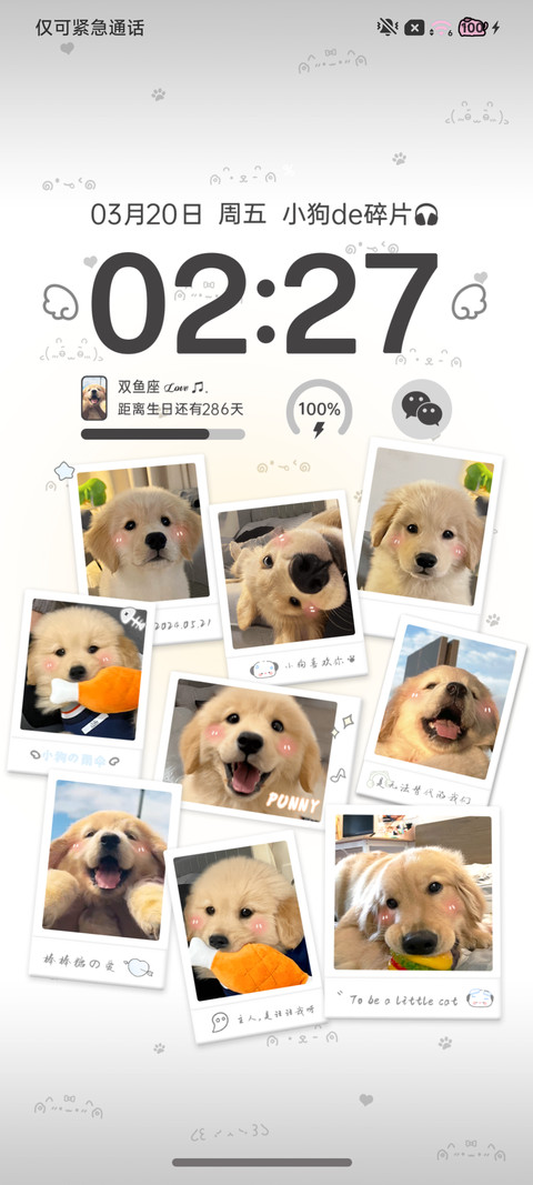 快乐小金毛 拍立得 screenshot