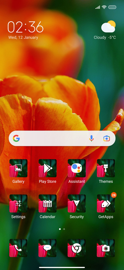 Tulips duo screenshot