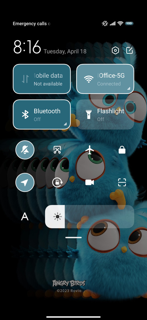 Birds are angry screenshot