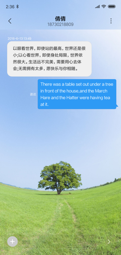 Lonely Tree screenshot
