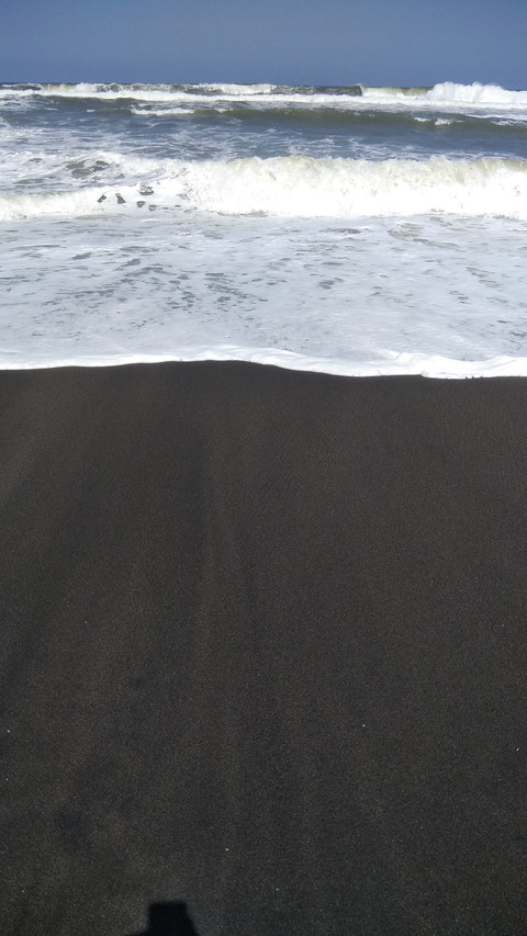 landing-1236 screenshot