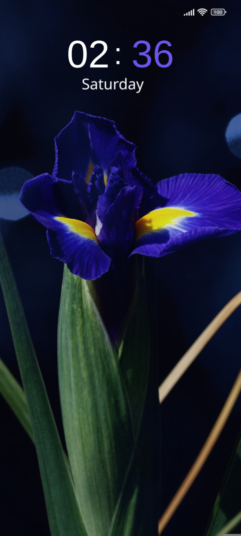 Iris Dream screenshot