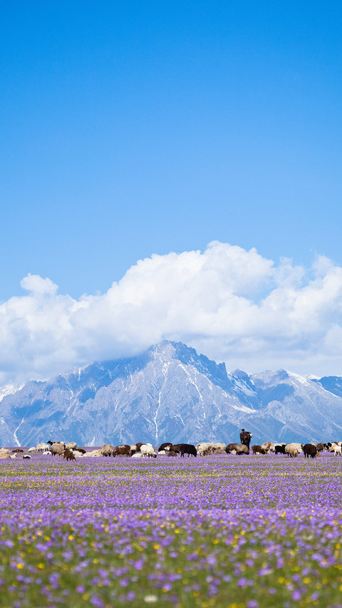Mountain screenshot
