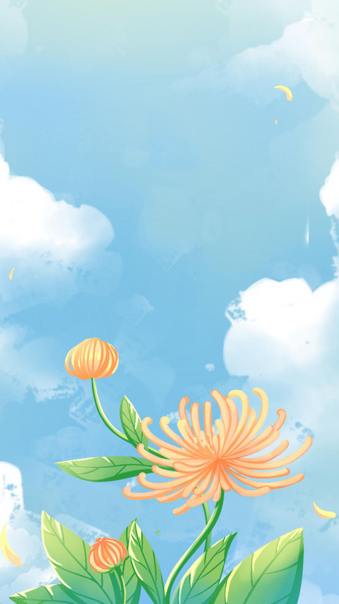 插画注意肌理结构 screenshot