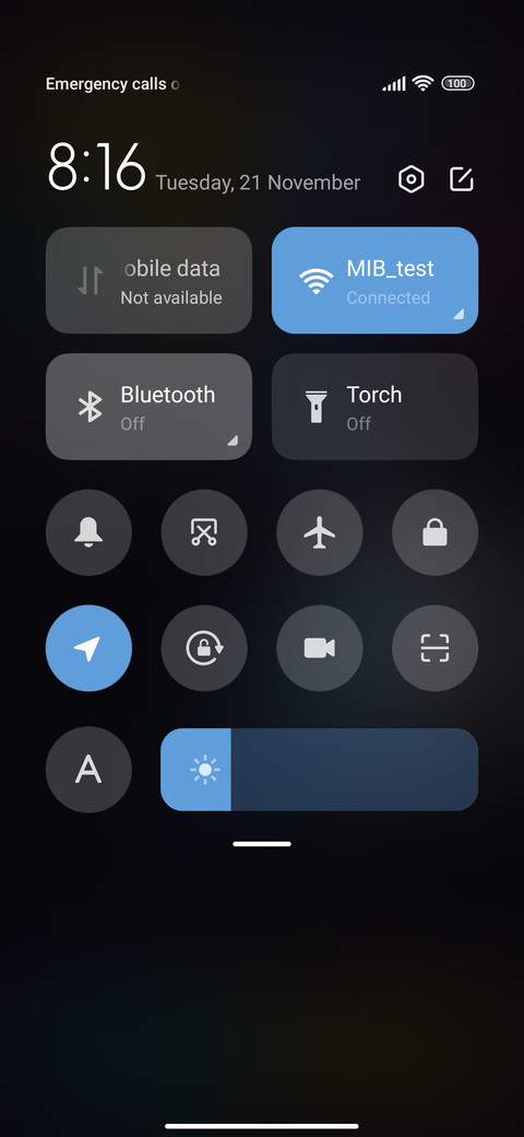 Blue Bird screenshot