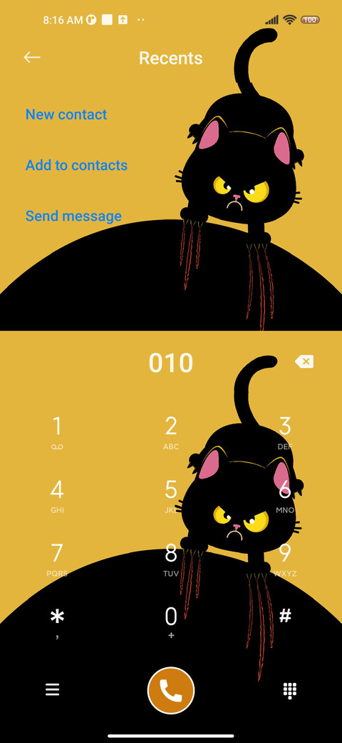 Angry Black Cat screenshot