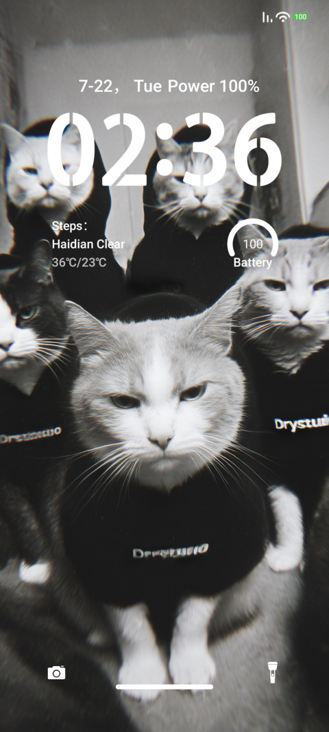 Cat Gang screenshot