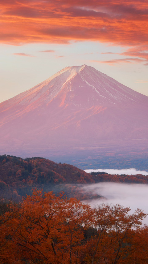 Autumn morning glow of Mount Fuji screenshot
