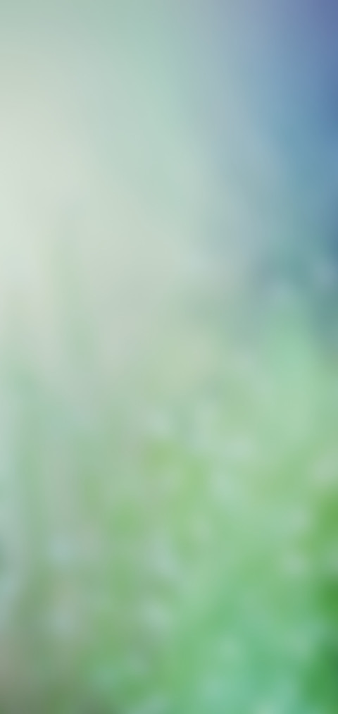 青春 screenshot