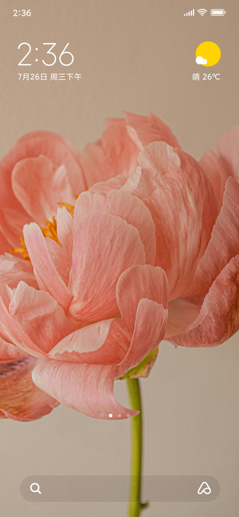Blossom screenshot
