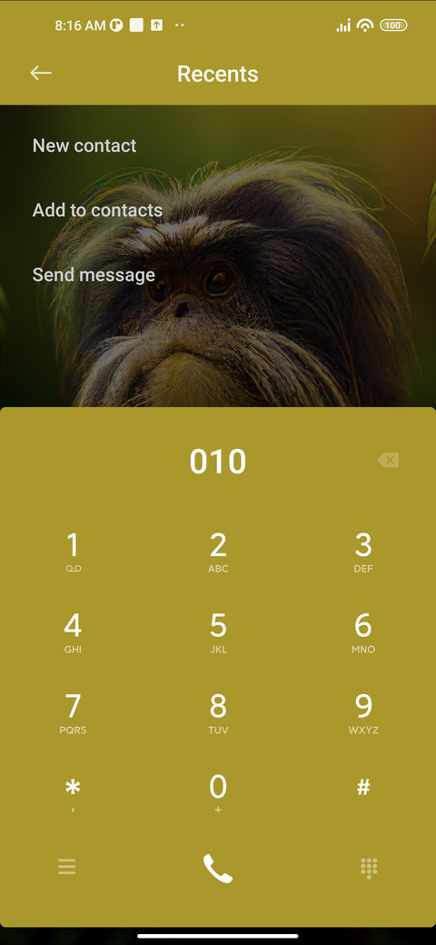 Tamarin Monkey screenshot