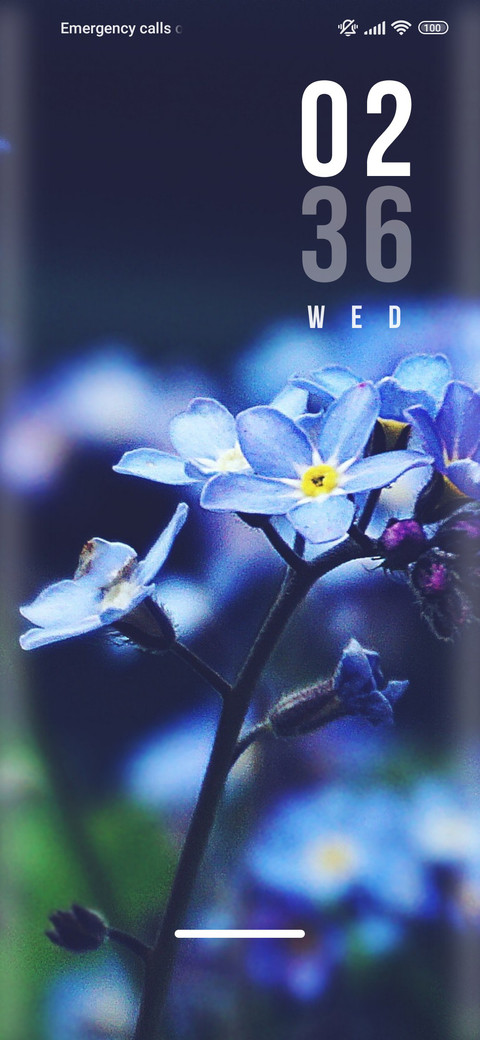 Flower_life screenshot