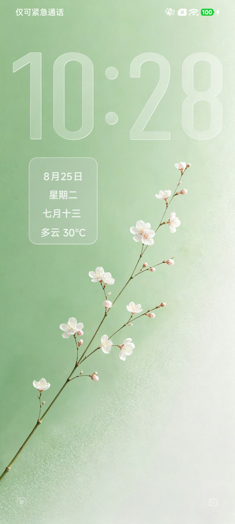 简约雅致 screenshot