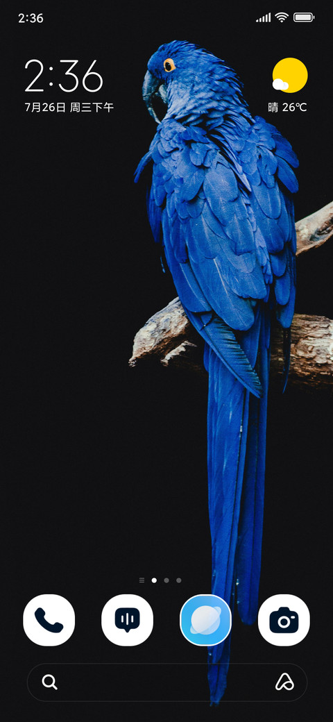 Blue Parrot screenshot