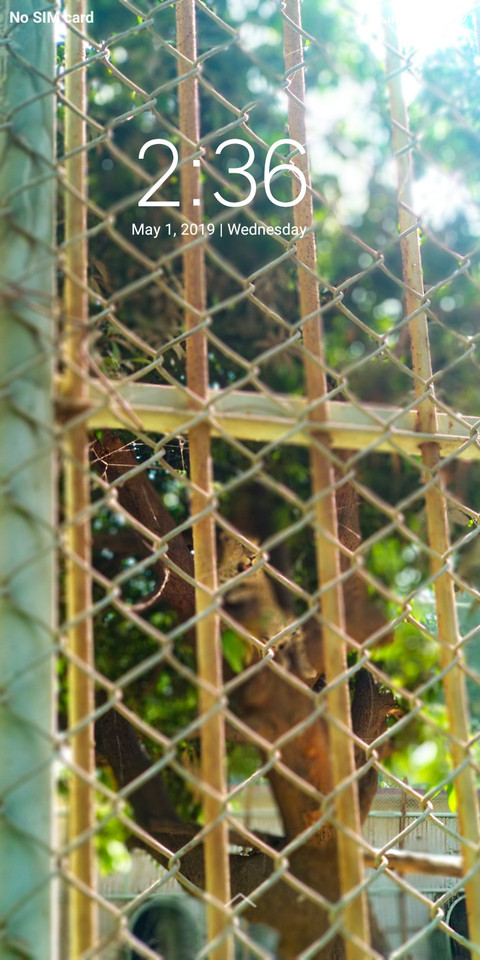 Zoo_DWM2 screenshot