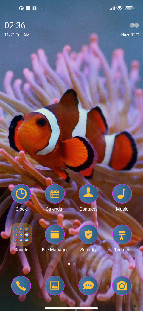 water clownfish screenshot