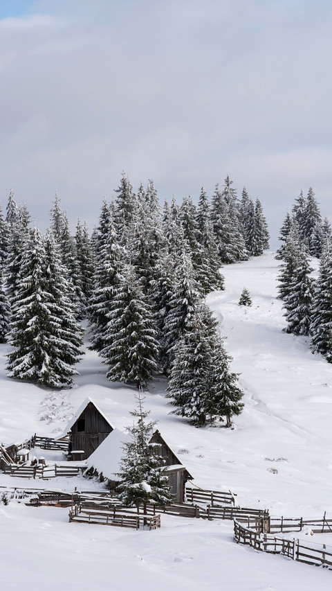 Winter Snowfield screenshot