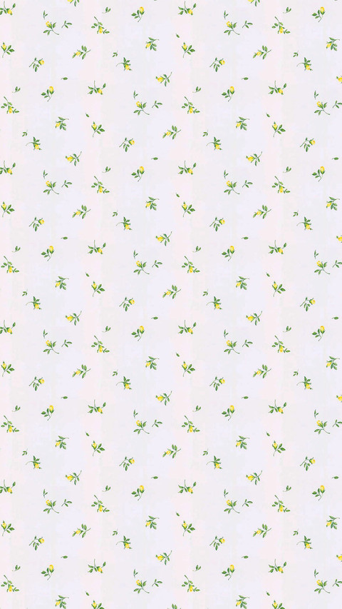 纹理印花 screenshot